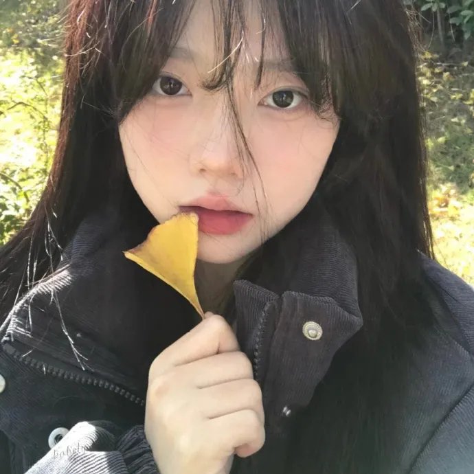 档案风暴